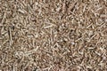 Wood chip shaving or shredded mulch material texture background Royalty Free Stock Photo