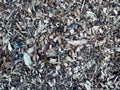 Wood chip texture background Royalty Free Stock Photo