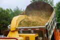 Wood chipper blowing tree branches cut a portable machine to the back of truck after an unexpected hurricane storm Royalty Free Stock Photo