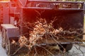 Wood chipper blowing tree branches cut a portable machine used for reducing wood chips Royalty Free Stock Photo