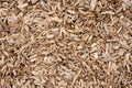 Wood chips Royalty Free Stock Photo