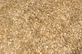 Wood chips. Royalty Free Stock Photo