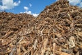 Wood chips for biomass combustion. green renewable energy