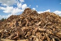 Wood chips for biomass combustion. green renewable energy