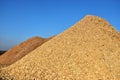 Wood chips biomass