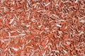 Wood chips in bulk, red decorative sawdust, chip background pattern