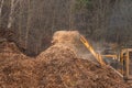 Wood chips dumped in a pile by a large industrial wood chipper..