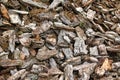 Wood chips of light brown color and rough texture Royalty Free Stock Photo