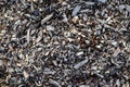 Wood chips overhead angle of bark wood chippings