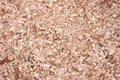 Wood chips pile on the floor. Royalty Free Stock Photo