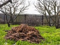 Wood chips recycled chopped tree branches lie in a pile in the garden