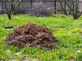 Wood chips recycled chopped tree branches lie in a pile in the garden