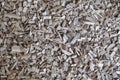 Wood chips, sawdust pile. Biofuel component. Royalty Free Stock Photo