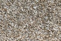 Wood chips, sawdust pile. Biofuel component. Royalty Free Stock Photo