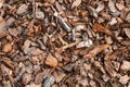 Wood chips or sawdust texture background, background pattern Royalty Free Stock Photo