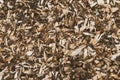 Wood chips texture. Lumber, industrial wood background. Logging close-up. Pattern of trunk, wall surface, timber. Brown firewood.