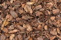 Wood chips texture, wooden biomass background close up Royalty Free Stock Photo