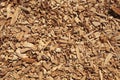 Wood chips texture, wooden biomass background Royalty Free Stock Photo