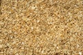 Wood chips texture, wooden biomass background. shavings for smoking or recycle. Royalty Free Stock Photo