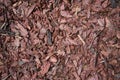 Wood chips. Tree bark elements. Natural coating, environmental friendliness. Wood processing. Reuse Royalty Free Stock Photo