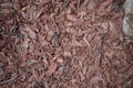 Wood chips. Tree bark elements. Natural coating, environmental friendliness. Wood processing. Reuse Royalty Free Stock Photo