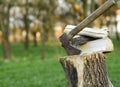 Wood chop Royalty Free Stock Photo