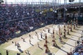 Wood Chop Competition - Sydney Easter Show