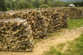 Wood chopped for fireplace Royalty Free Stock Photo