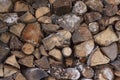 Wood chopped firewood stacked on the stack. Woodpile of cut tree Royalty Free Stock Photo