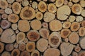 Wood circles pattern of cutted tree trunks. The round pieces are of different sizes. Abstract background,Wood cross slice