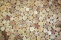 Wood circles pattern of cutted tree trunks. The round pieces are of different sizes.