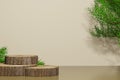 wood circular base 3d realistic tree empty display podium
