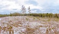 Wood clearing in Ostergotland