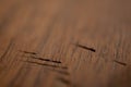 wood close up forniture elegant and craft texture background