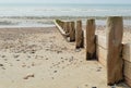 Wood coastal defense management barrier.