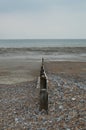 Wood coastal defense management barrier.