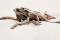 Wood composition left over on the Pacific Ocean beach at low tide.