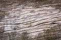 Wood cracks textured background for design