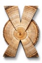 Wood cross-section with concentric rings Royalty Free Stock Photo