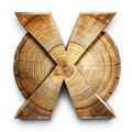Wood cross-section with concentric rings Royalty Free Stock Photo