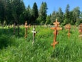 wood crosses on graves in cemetery in summer. cemetery in the green forest. grave unknown monuments on the field