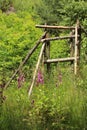 Wood crossing across fence in forest Royalty Free Stock Photo