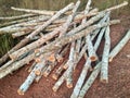 Wood cut/logs. Royalty Free Stock Photo