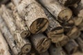 Wood cut into pieces, firewood. Royalty Free Stock Photo