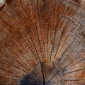 Wood cut texture ring Royalty Free Stock Photo
