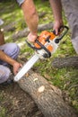 Wood cutting with chainsaw in nature Royalty Free Stock Photo