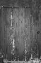 Wood Dark background texture. Blank for design. Black wood with cracked paind background old panels Royalty Free Stock Photo