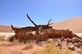 Wood deadvlei sossusvlei Dry pan tree desert Sand dune Namibia Africa Royalty Free Stock Photo