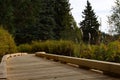 Wood decking pathway