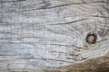 Wood desk with old snag. Wooden log with cracks. Crack in the wood Royalty Free Stock Photo